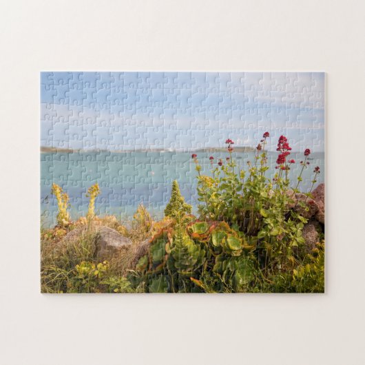 Green Bay, Bryher Puzzle (Horizontal)