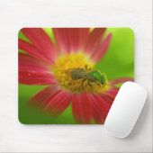 Green Bee & Painted Daisy Mouse Pad Mousepad (Mit Mouse)