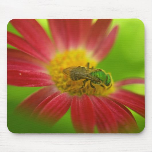 Green Bee & Painted Daisy Mouse Pad Mousepad (Vorne)