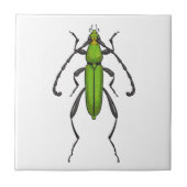 Green beetle fliese (Vorderseite)