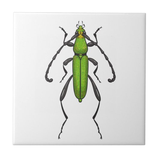Green beetle fliese (Vorderseite)