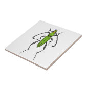 Green beetle fliese (Seite)