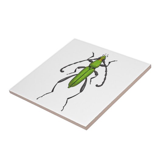 Green beetle fliese (Seite)