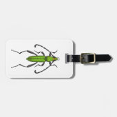 Green beetle gepäckanhänger (Vorderseite horizontal)