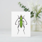 Green beetle postkarte (Stehend Vorderseite)