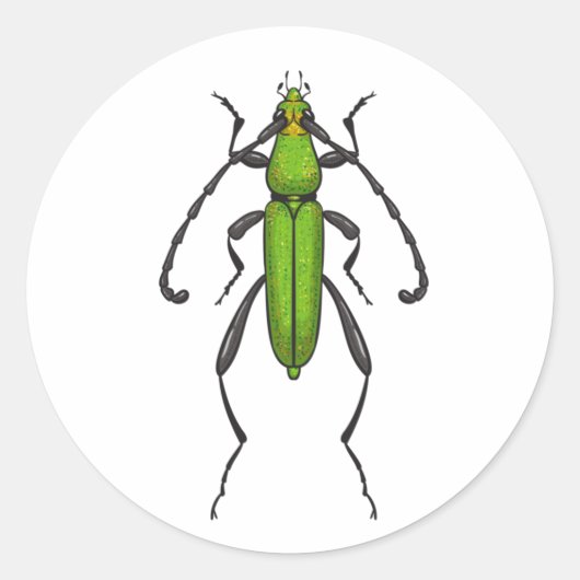 Green beetle runder aufkleber (Vorderseite)