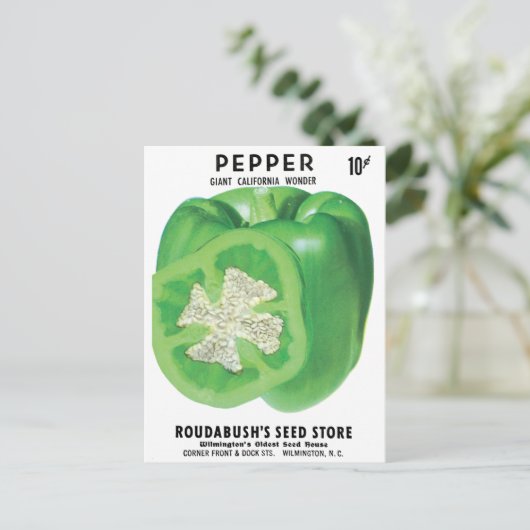 Green Bell Pepper Seed Packung Postkarte (Stehend Vorderseite)