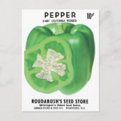 Green Bell Pepper Seed Packung Postkarte (Vorderseite)