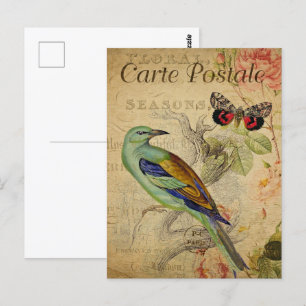 Green Bird & Butterfly Postkarte
