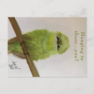 Green Bird Postcard "Hang da rein ... du? Postkarte