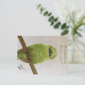 Green Bird Postcard "Hang da rein ... du? Postkarte (Stehend Vorderseite)