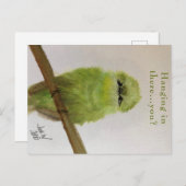Green Bird Postcard "Hang da rein ... du? Postkarte (Vorne/Hinten)