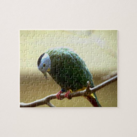 Green Bird Puzzle (Horizontal)