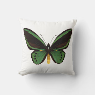 Green Birdwing Butterfly Kissen