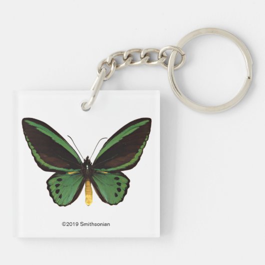 Green Birdwing Butterfly Schlüsselanhänger (Rückseite)