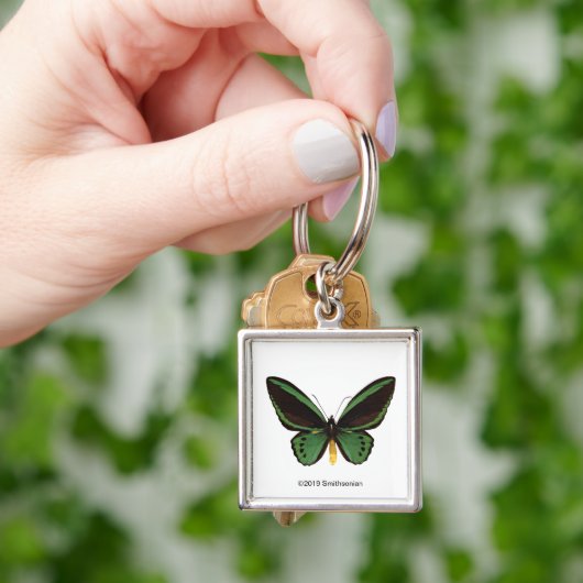 Green Birdwing Butterfly Schlüsselanhänger (Hand)