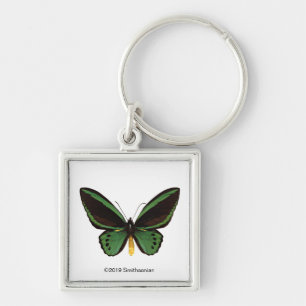 Green Birdwing Butterfly Schlüsselanhänger