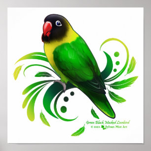 Green Black Masked Lovebird Poster