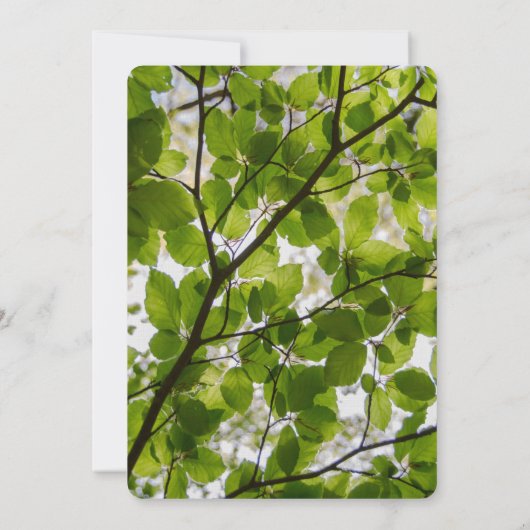 Green Blätter Wedding Rounded UAWG Response Card (Rückseite)