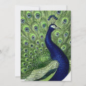 Green Blue Chic Peacock Wedding Einladung (Rückseite)