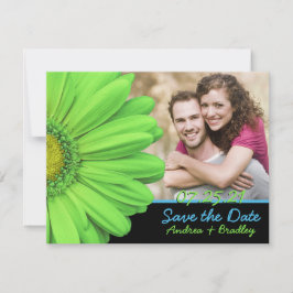Green Blue Gerbera Daisy Foto Wedding Save The Date