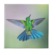 Green & Blue Hummingbird Fliese (Vorderseite)