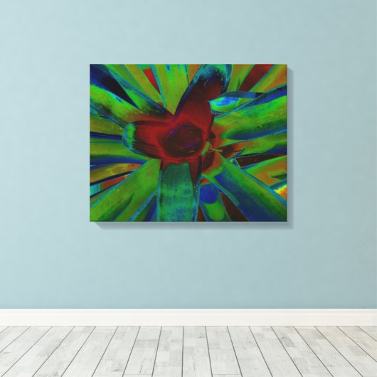 Green Blue Red Bromeliad Pflanzen Image Leinwanddruck (Insitu (Holzboden))