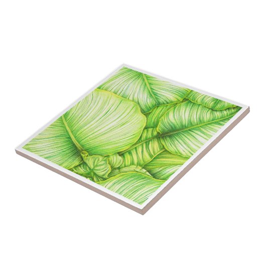 Green Botanical Ceramic Tile Fliese (Seite)