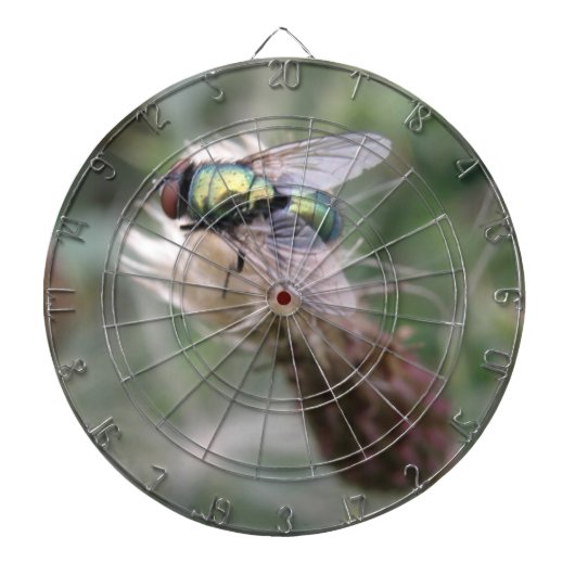 Green Bottle Fly Macro Dart Board Dartscheibe (vorne)