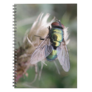 Green Bottle Fly Macro Notebook Notizblock