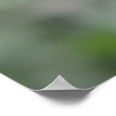 Green Bottle Fly Macro Poster (Ecke)