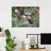 Green Bottle Fly Macro Poster (Heimbüro)