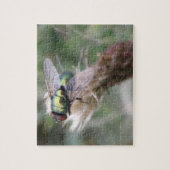 Green Bottle Fly Macro Puzzle (Vertikal)