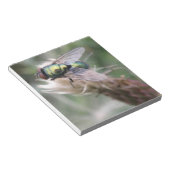 Green Bottle Fly Makro Notepad Notizblock (angewinkelt)