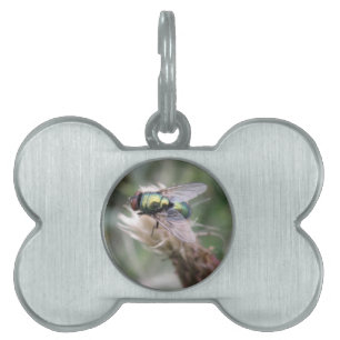 Green Bottle Fly Makro Pet Tag Tiermarke