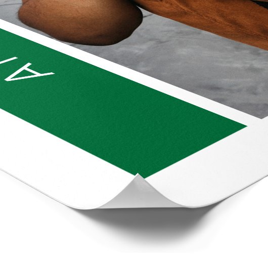 Green Boxes & Foto Abschluss Poster (Ecke)