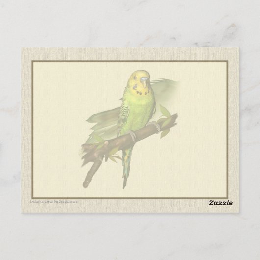 Green Budgie Art Postcard Postkarte (Rückseite)