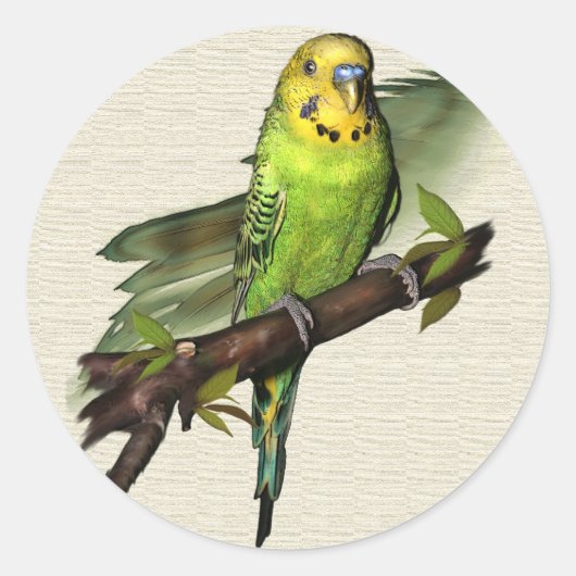 Green Budgie Stickers (Vorderseite)