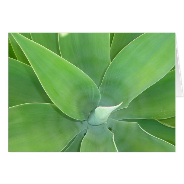 Green Burst v2 (Vorderseite (Horizontal))