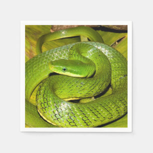 Green Bush Rat Snake Serviette