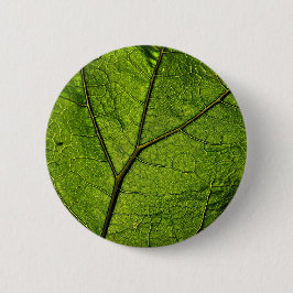 Green Butterbur Leaf Button