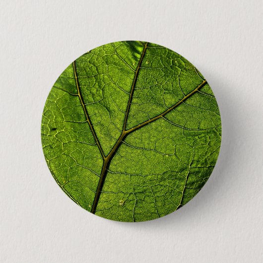 Green Butterbur Leaf Button (Vorderseite)