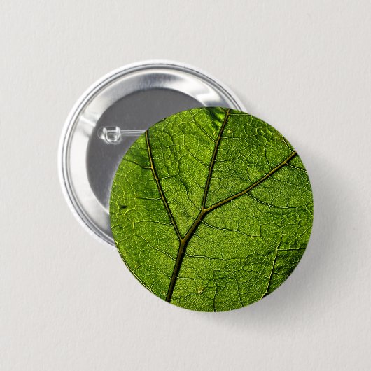 Green Butterbur Leaf Button (Vorne & Hinten)