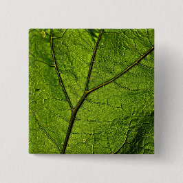 Green Butterbur Leaf Button