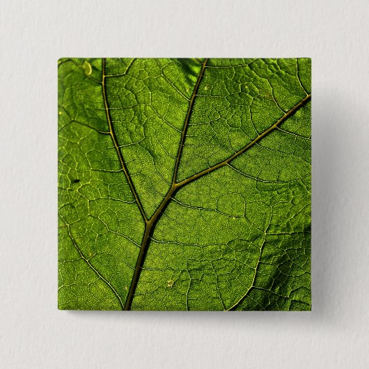 Green Butterbur Leaf Button (Vorderseite)