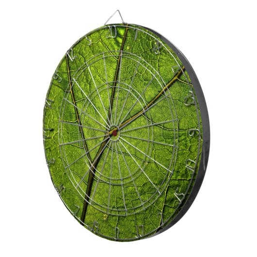 Green Butterbur Leaf Dartscheibe (Vorderseite rechts)