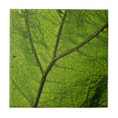 Green Butterbur Leaf Fliese (Vorderseite)