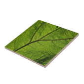 Green Butterbur Leaf Fliese (Seite)