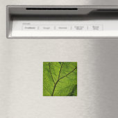 Green Butterbur Leaf Magnet (In Situ (Geschirrspüler))