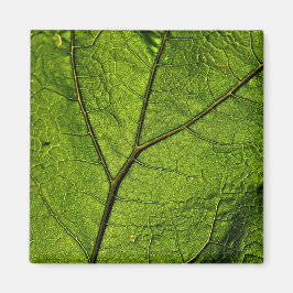 Green Butterbur Leaf Magnet